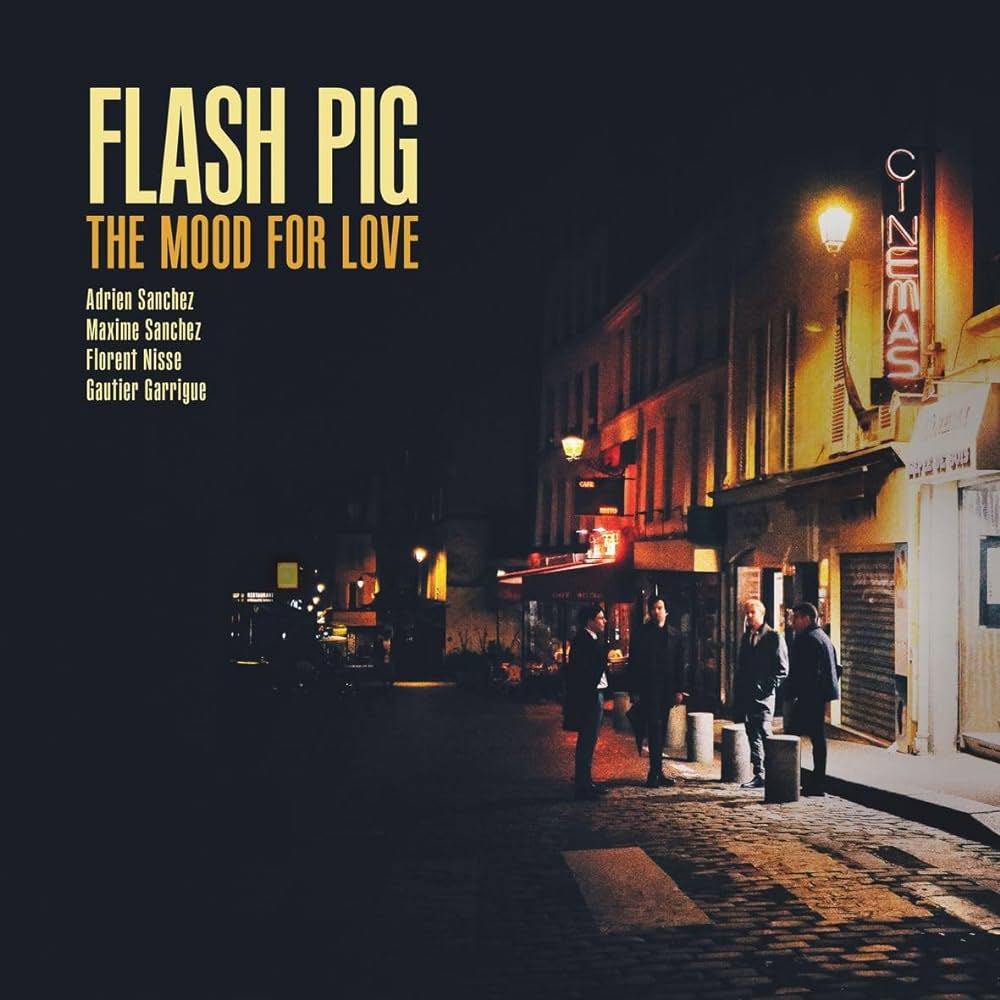 Flash Pig