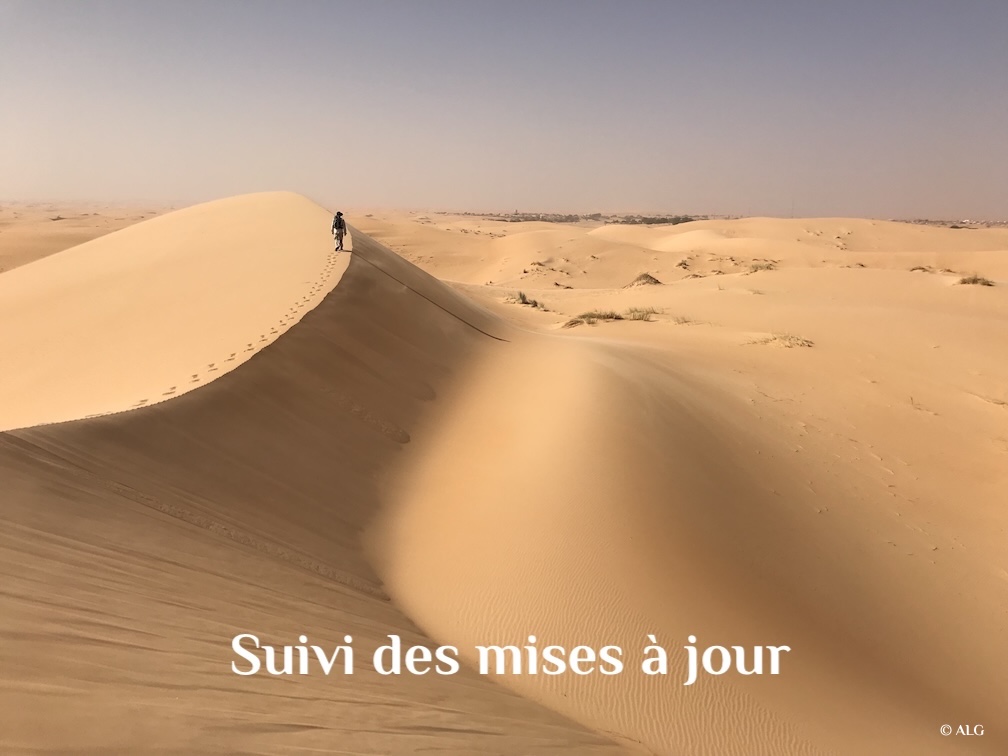 Désert de Mauritanie
